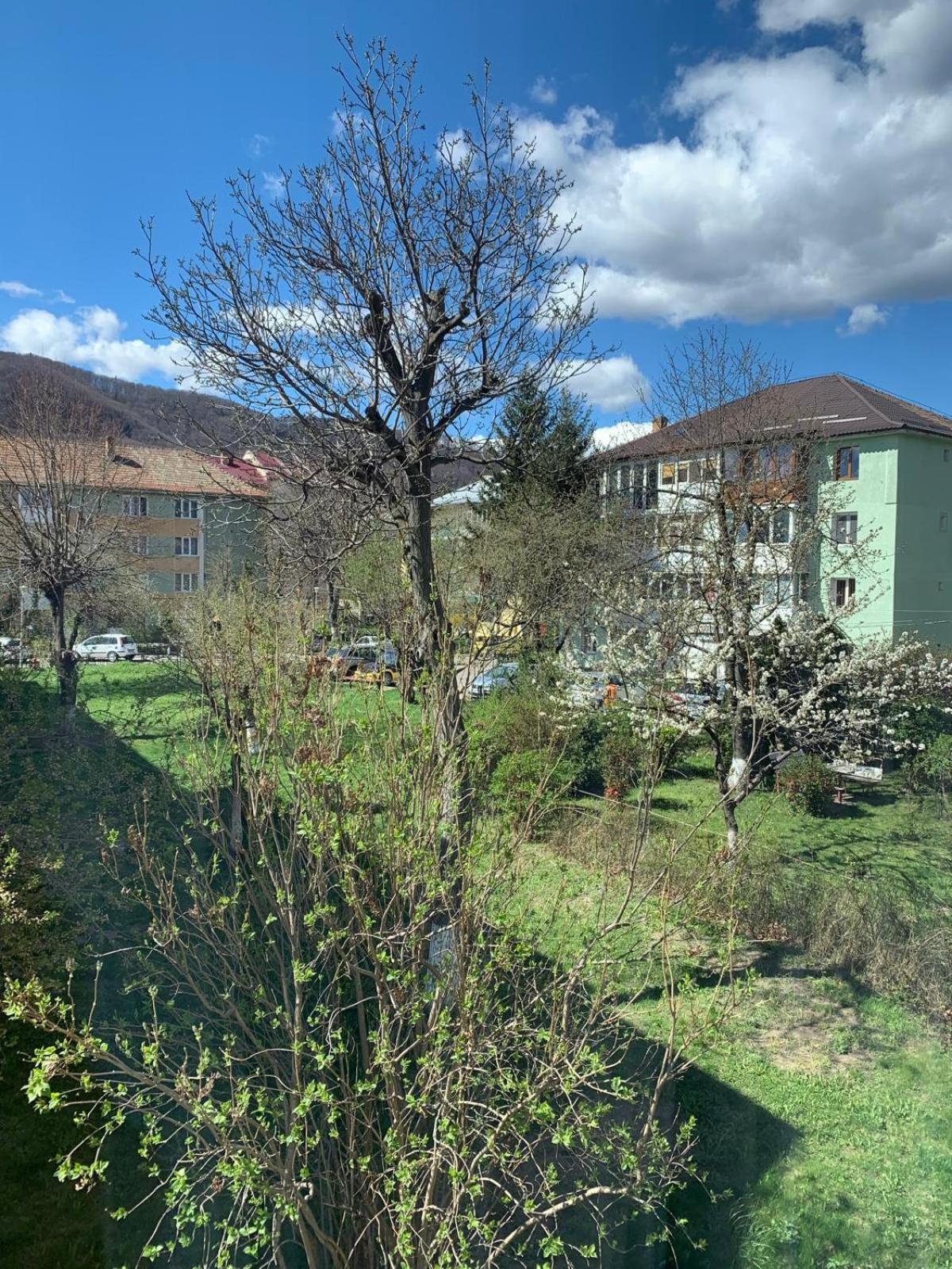 Rose Apartment Piatra Neamţ Exteriör bild